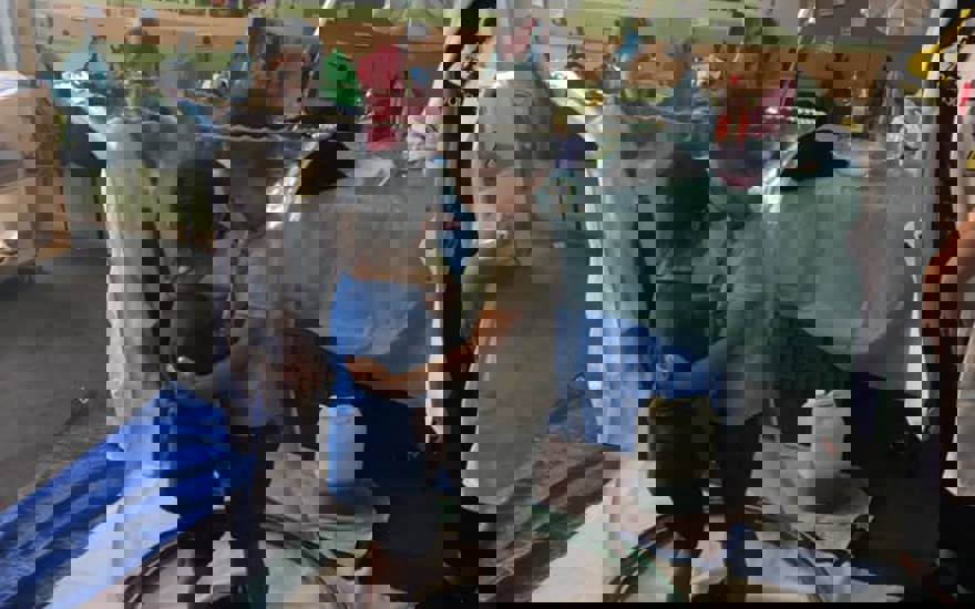 145022252_241847124155923_1807465485454897806_n.jpg