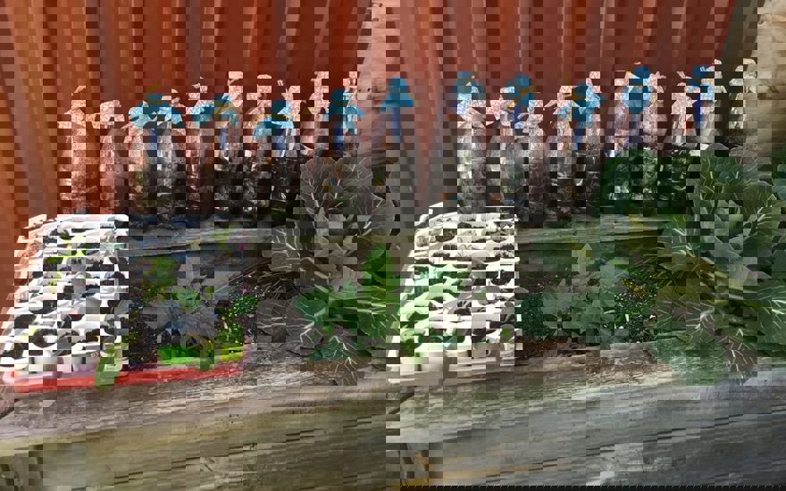 121239000_210780747143530_6347413976885880910_o.jpg
