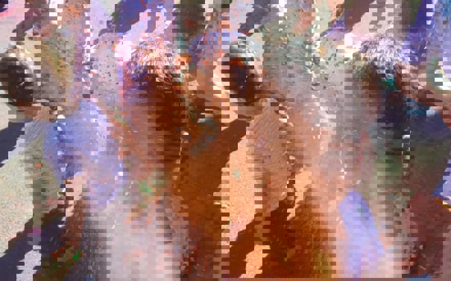 157436916_293209618900642_1150328722734641075_n.jpg