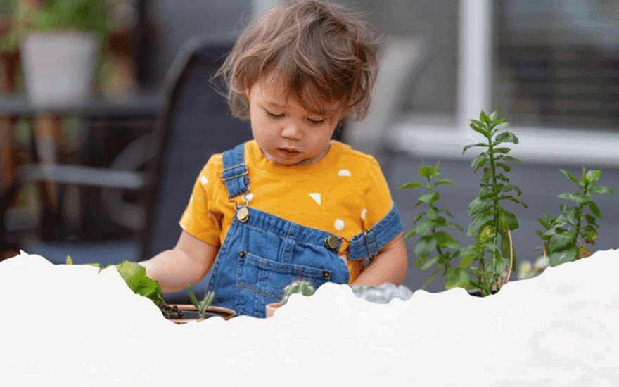 Gardening Blog Thumbnail