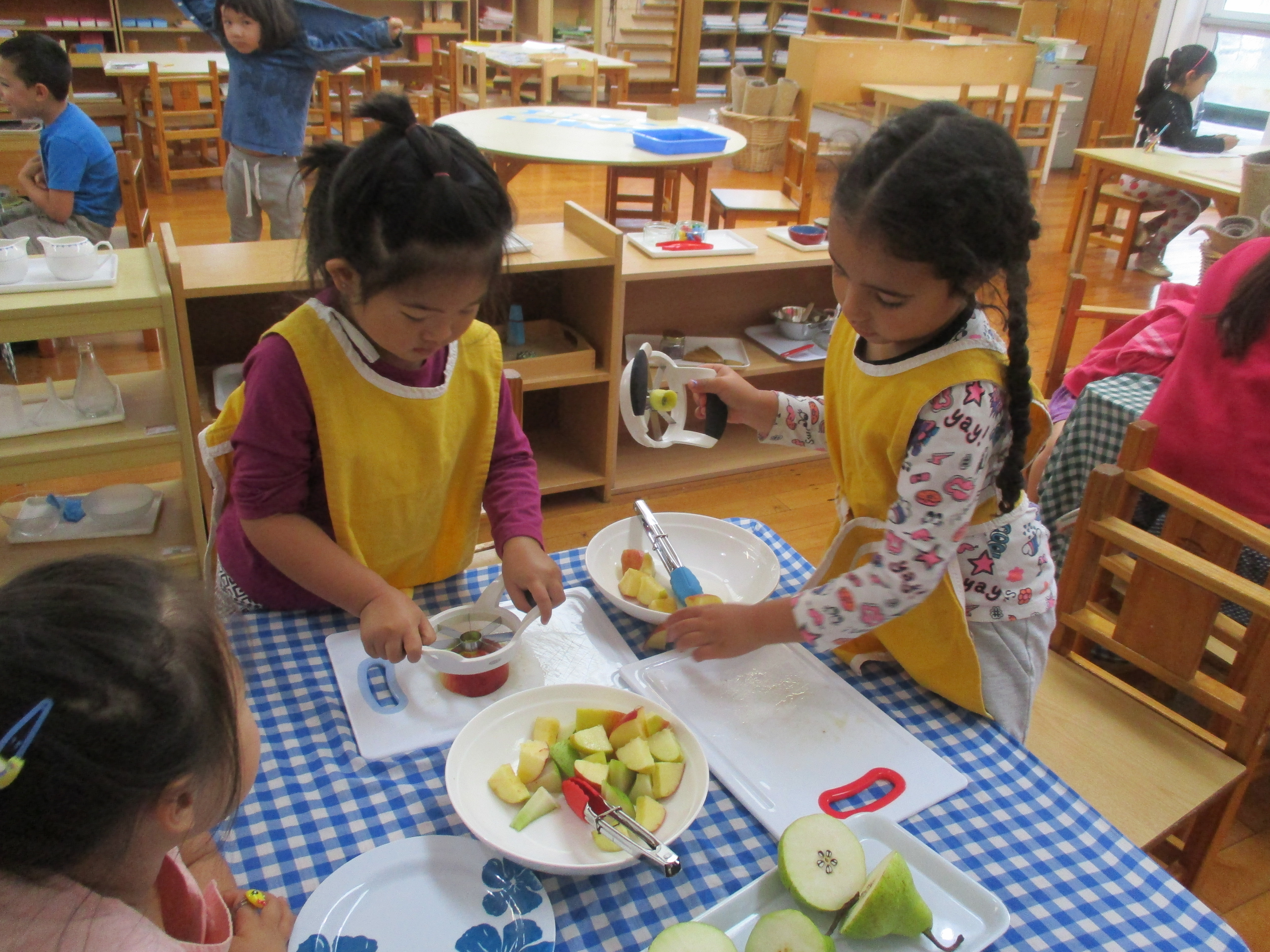 Little Earth Montessori Panmure