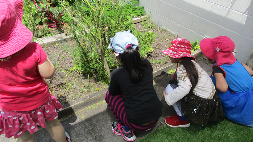 Little Earth Montessori Panmure