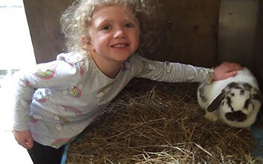 farm4-Little-Kiwis-17.jpg