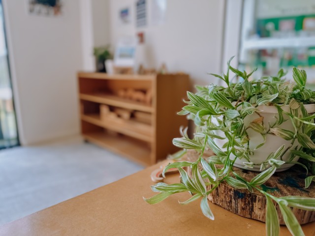 Check out our Centre Gallery