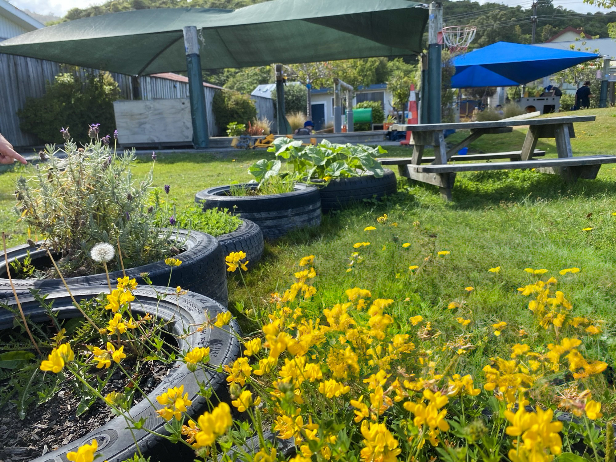 Check out our Centre Gallery