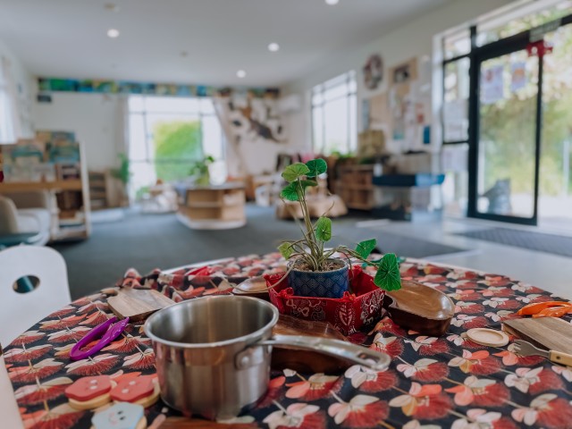 Check out our Centre Gallery