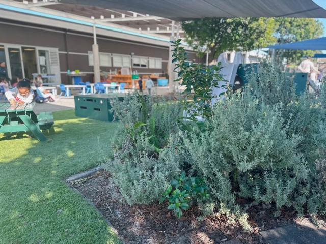 Check out our Centre Gallery