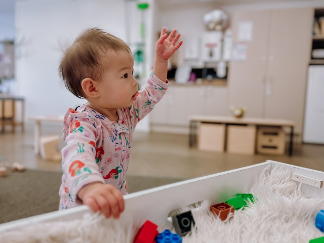 Check out our Centre Gallery