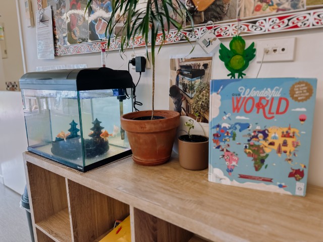 Check out our Centre Gallery